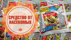 Kako uporabljati intavir iz colorado hrošča